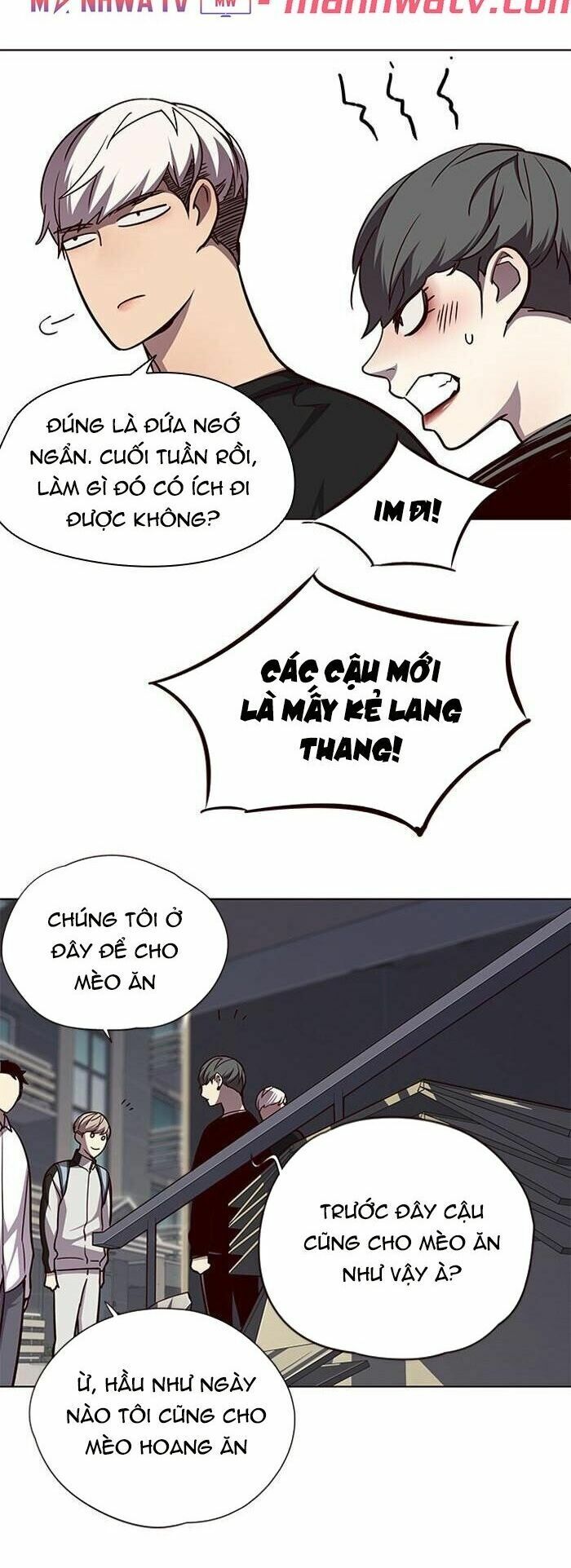 Hoá Thân Thành Mèo: Chapter 55