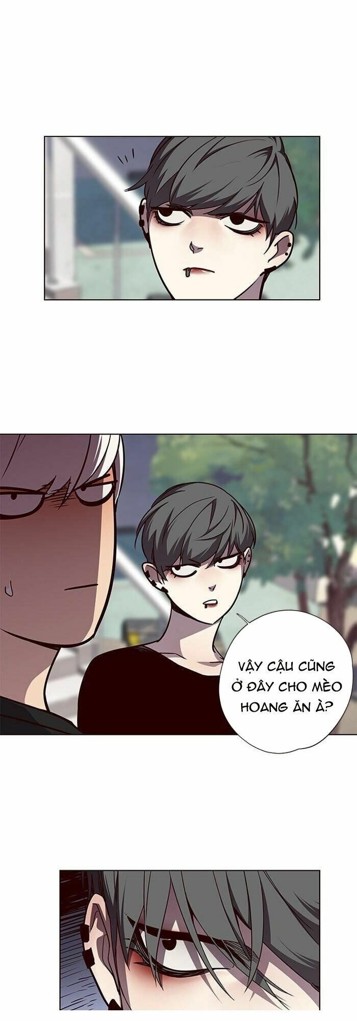 Hoá Thân Thành Mèo: Chapter 55