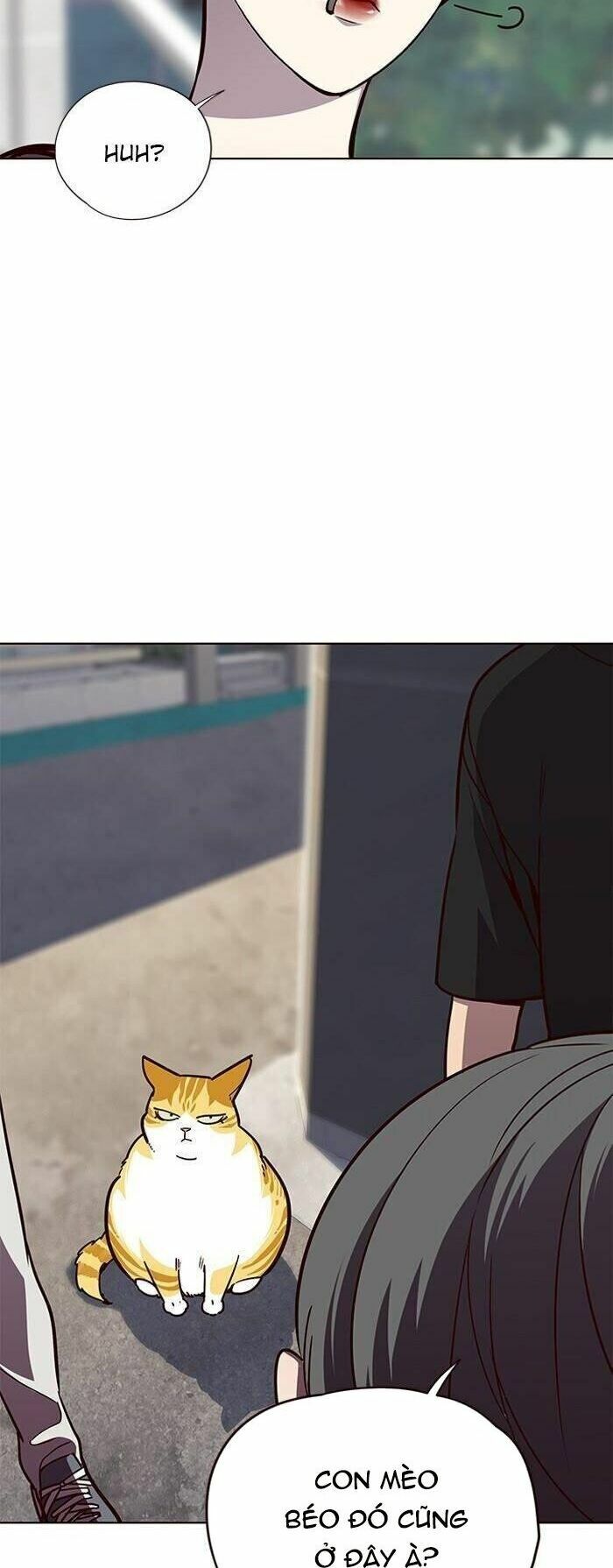 Hoá Thân Thành Mèo: Chapter 55