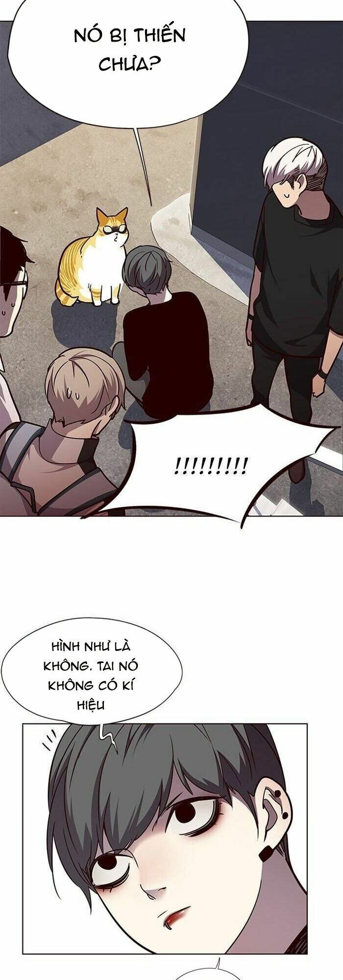 Hoá Thân Thành Mèo: Chapter 55