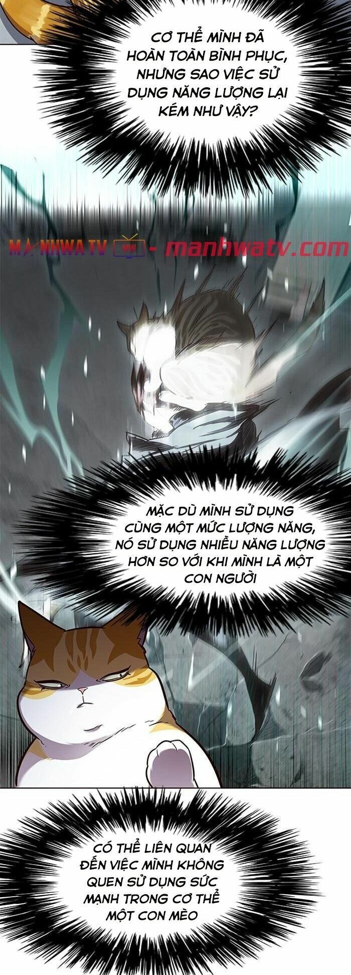 Hoá Thân Thành Mèo: Chapter 55