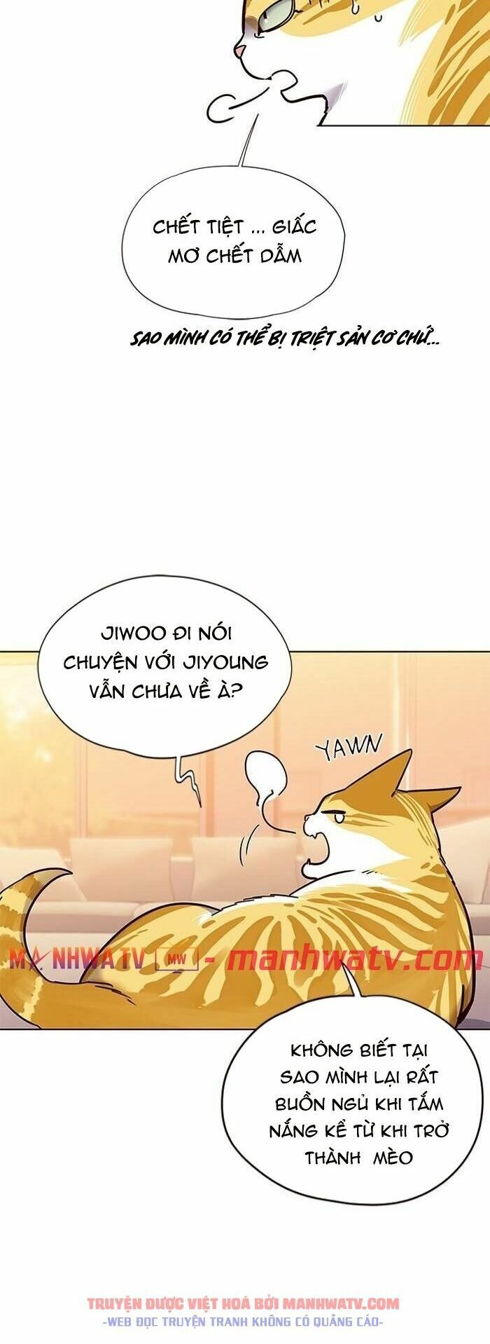 Hoá Thân Thành Mèo: Chapter 56
