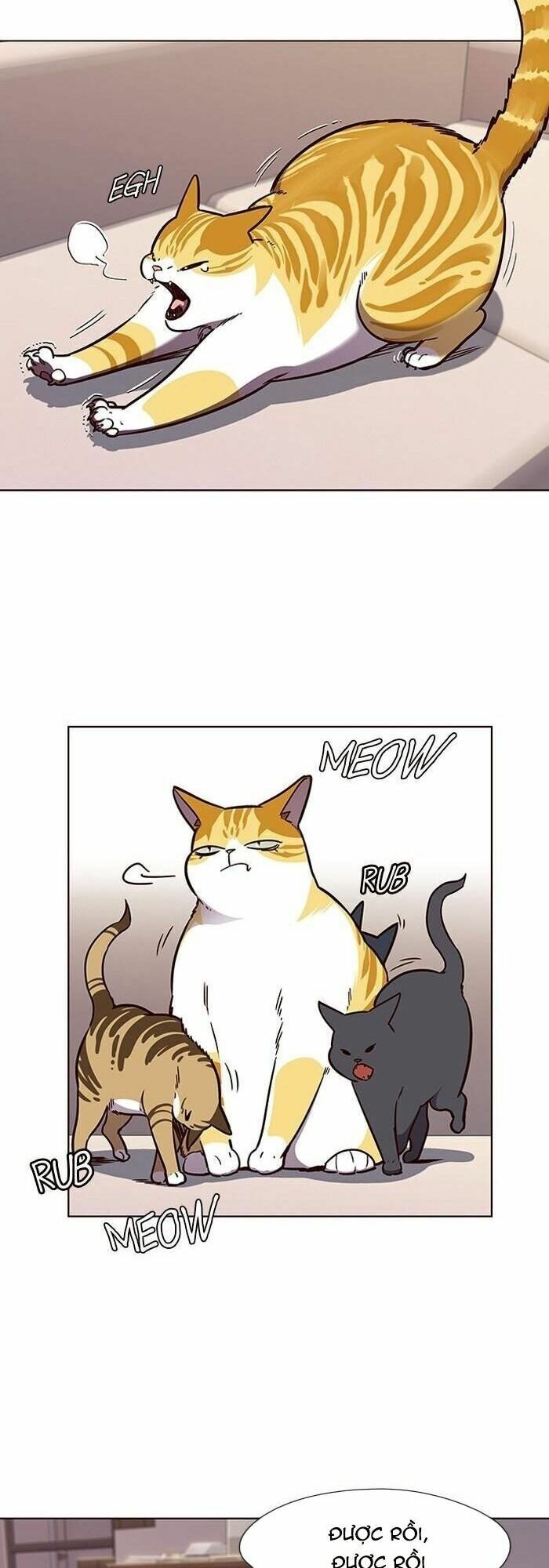 Hoá Thân Thành Mèo: Chapter 56