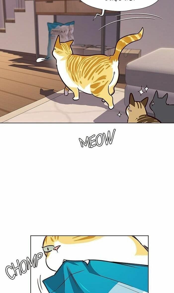 Hoá Thân Thành Mèo: Chapter 56