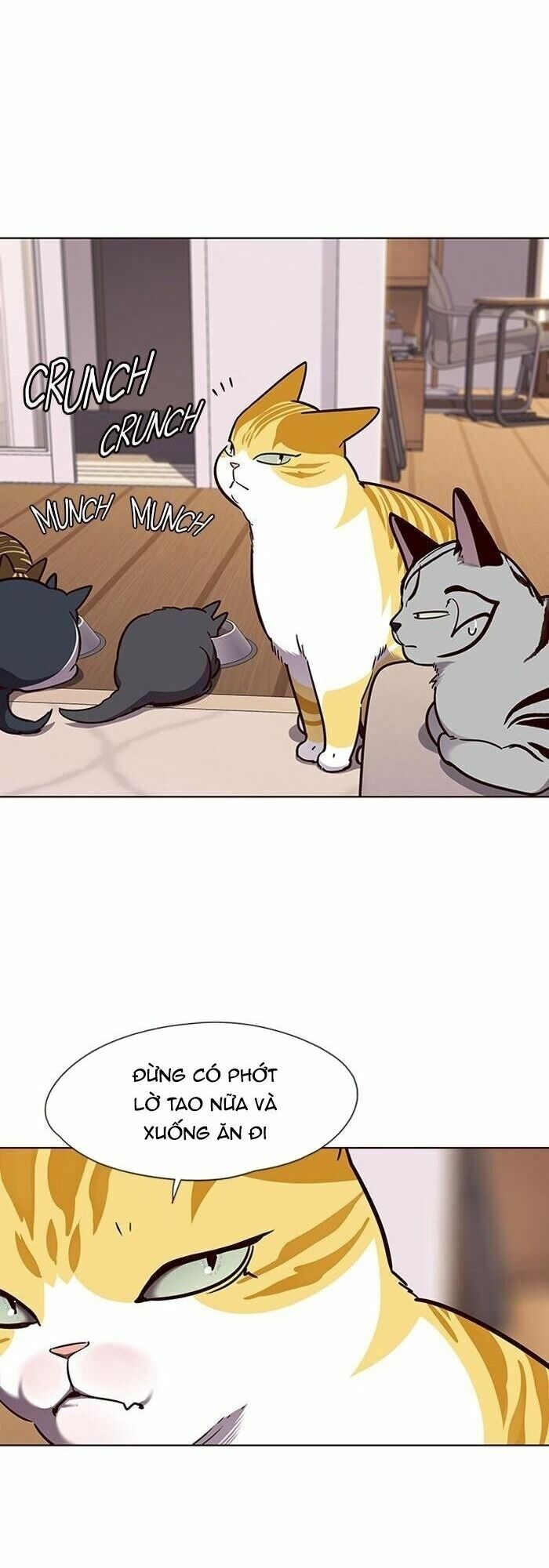 Hoá Thân Thành Mèo: Chapter 56