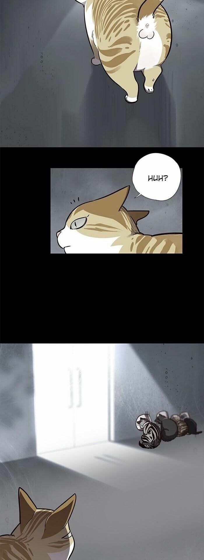 Hoá Thân Thành Mèo: Chapter 56