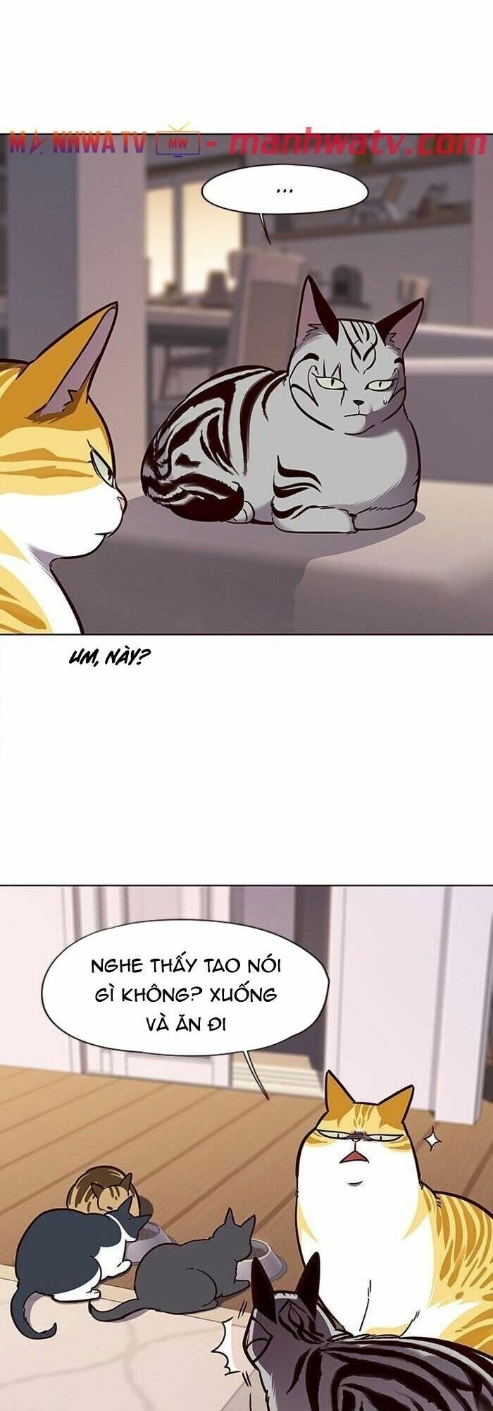 Hoá Thân Thành Mèo: Chapter 56
