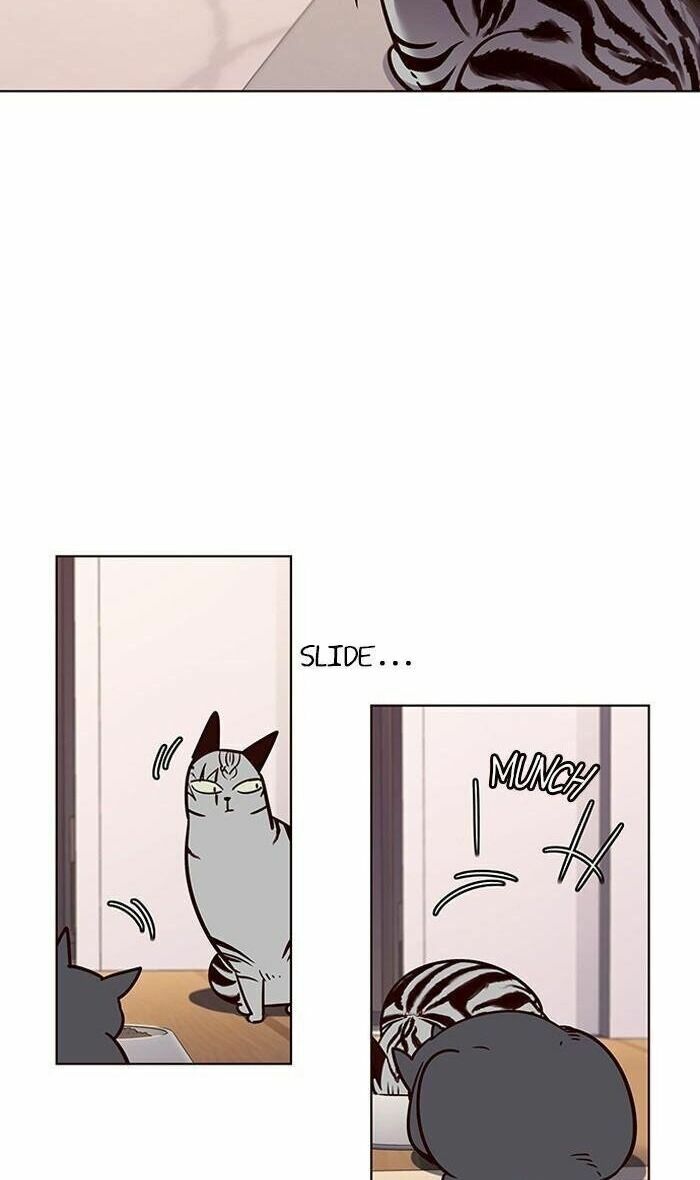 Hoá Thân Thành Mèo: Chapter 56