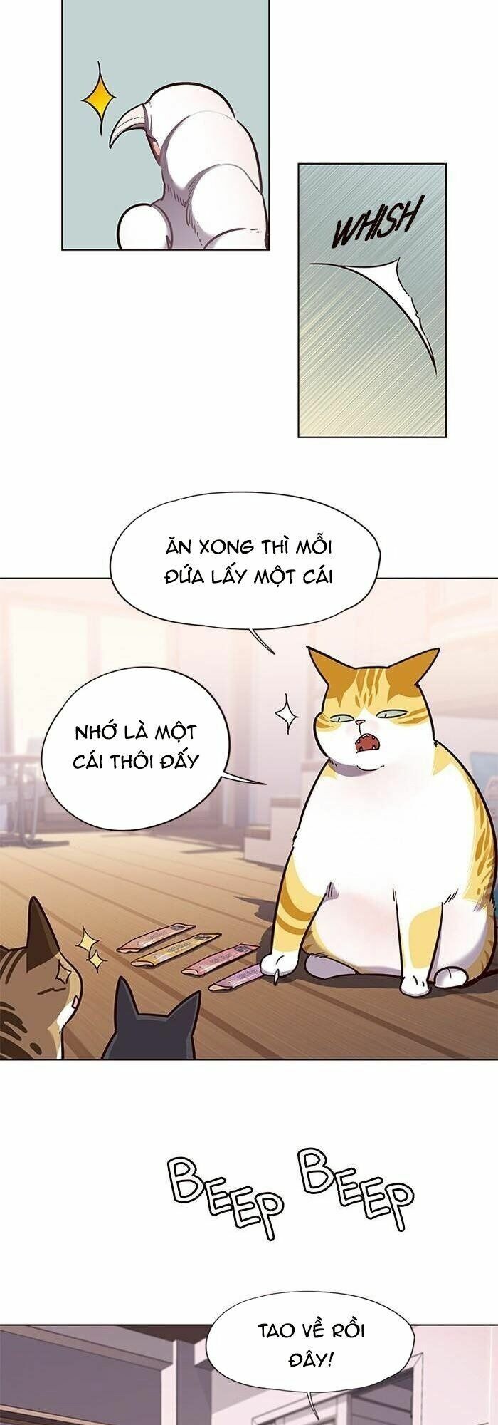 Hoá Thân Thành Mèo: Chapter 56