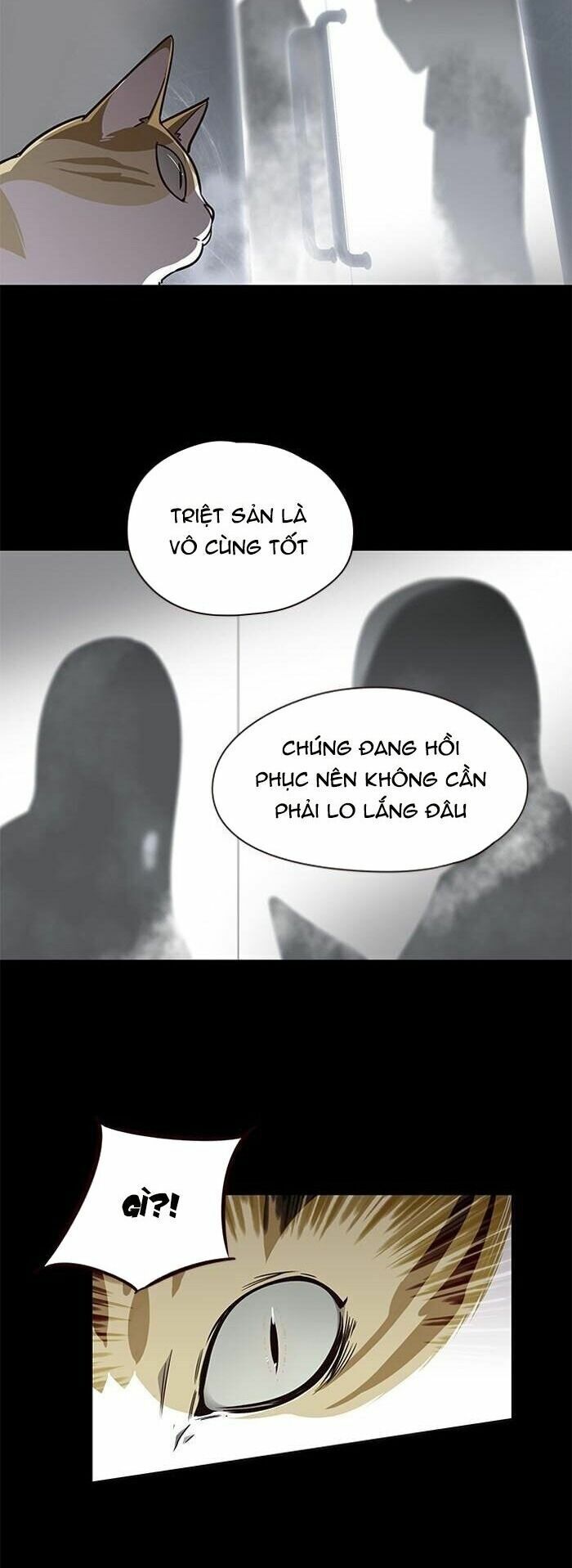 Hoá Thân Thành Mèo: Chapter 56