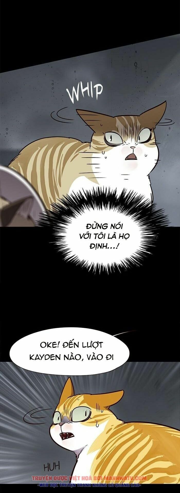 Hoá Thân Thành Mèo: Chapter 56