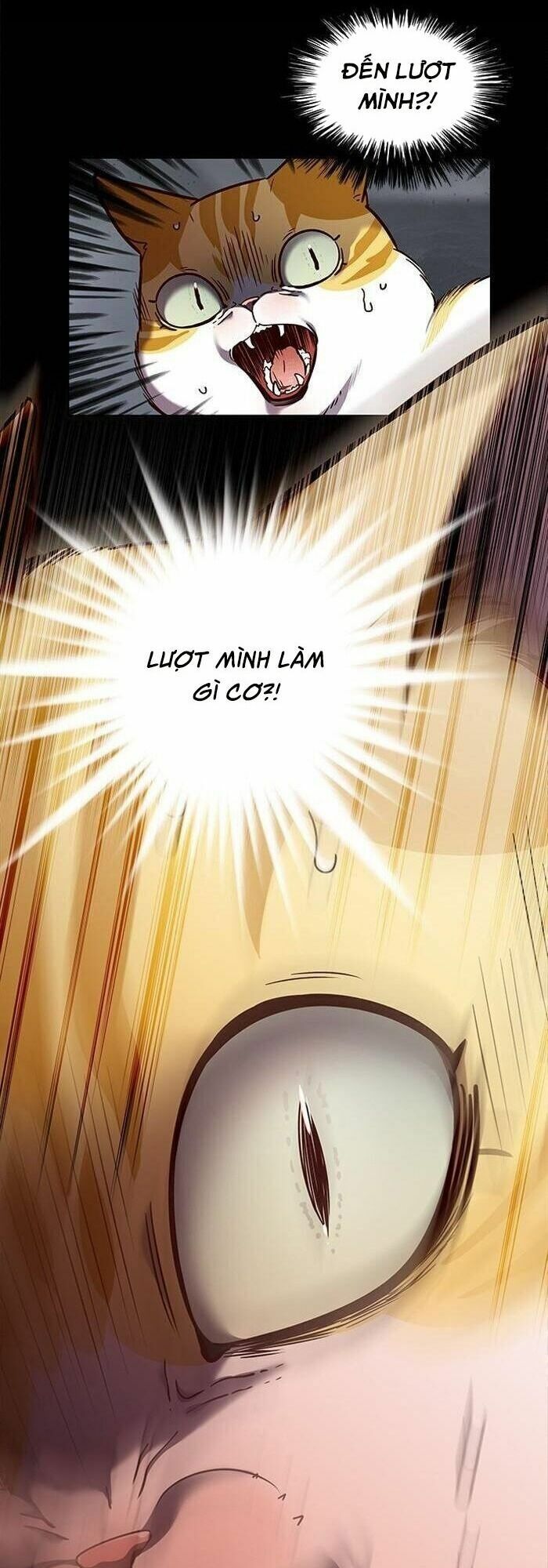 Hoá Thân Thành Mèo: Chapter 56