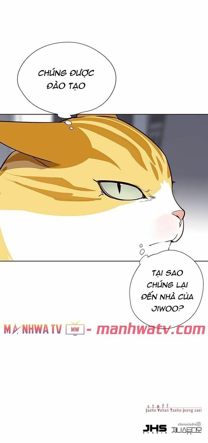Hoá Thân Thành Mèo: Chapter 57