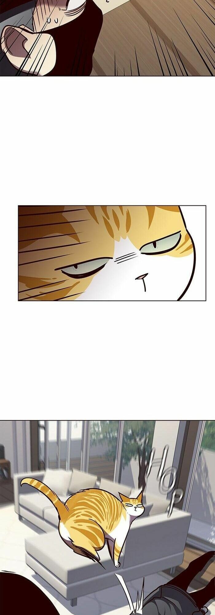 Hoá Thân Thành Mèo: Chapter 58