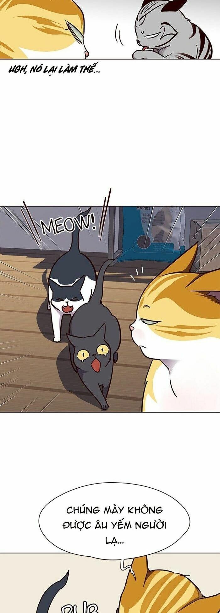 Hoá Thân Thành Mèo: Chapter 58