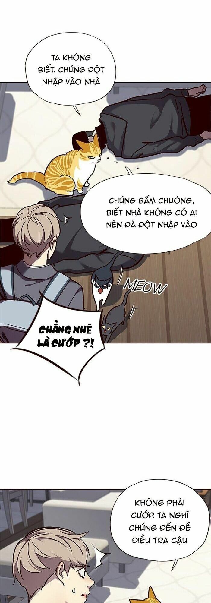 Hoá Thân Thành Mèo: Chapter 58