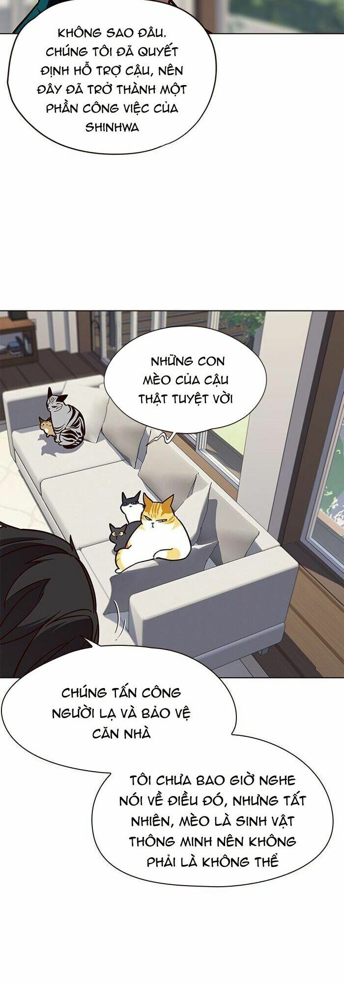 Hoá Thân Thành Mèo: Chapter 58