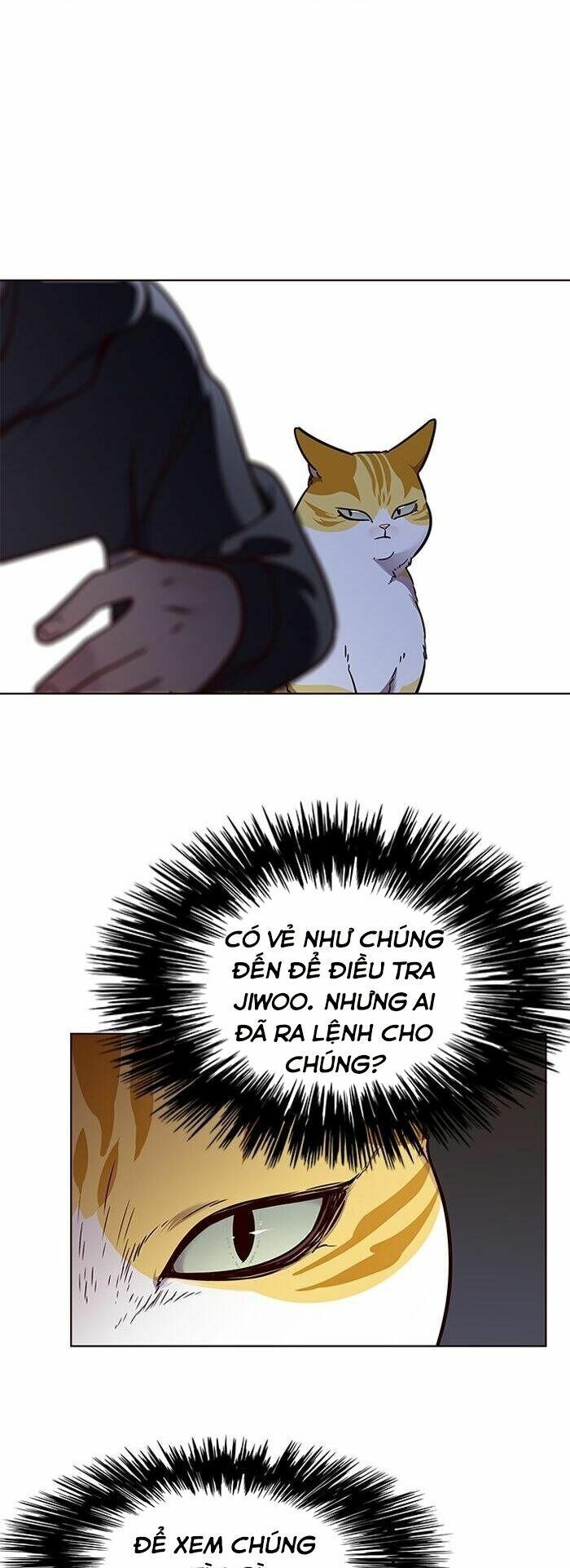 Hoá Thân Thành Mèo: Chapter 58