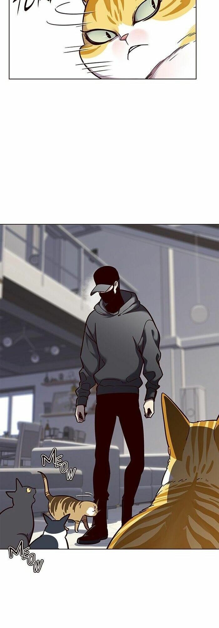 Hoá Thân Thành Mèo: Chapter 58