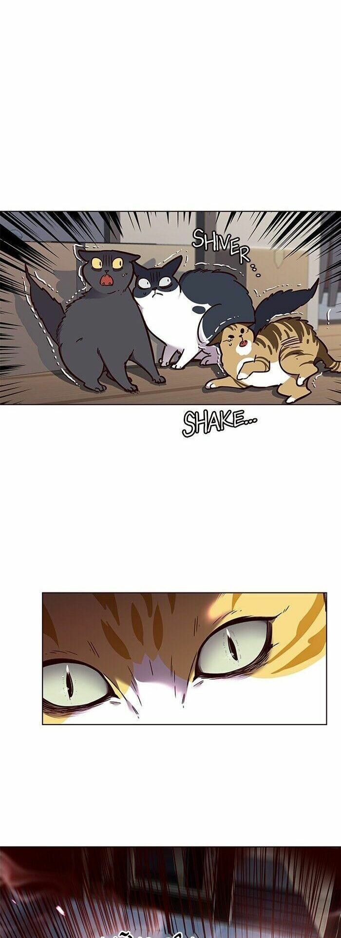 Hoá Thân Thành Mèo: Chapter 58