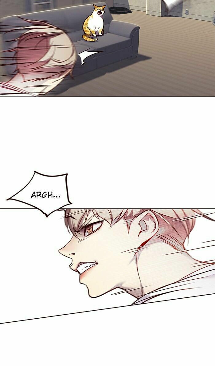 Hoá Thân Thành Mèo: Chapter 59