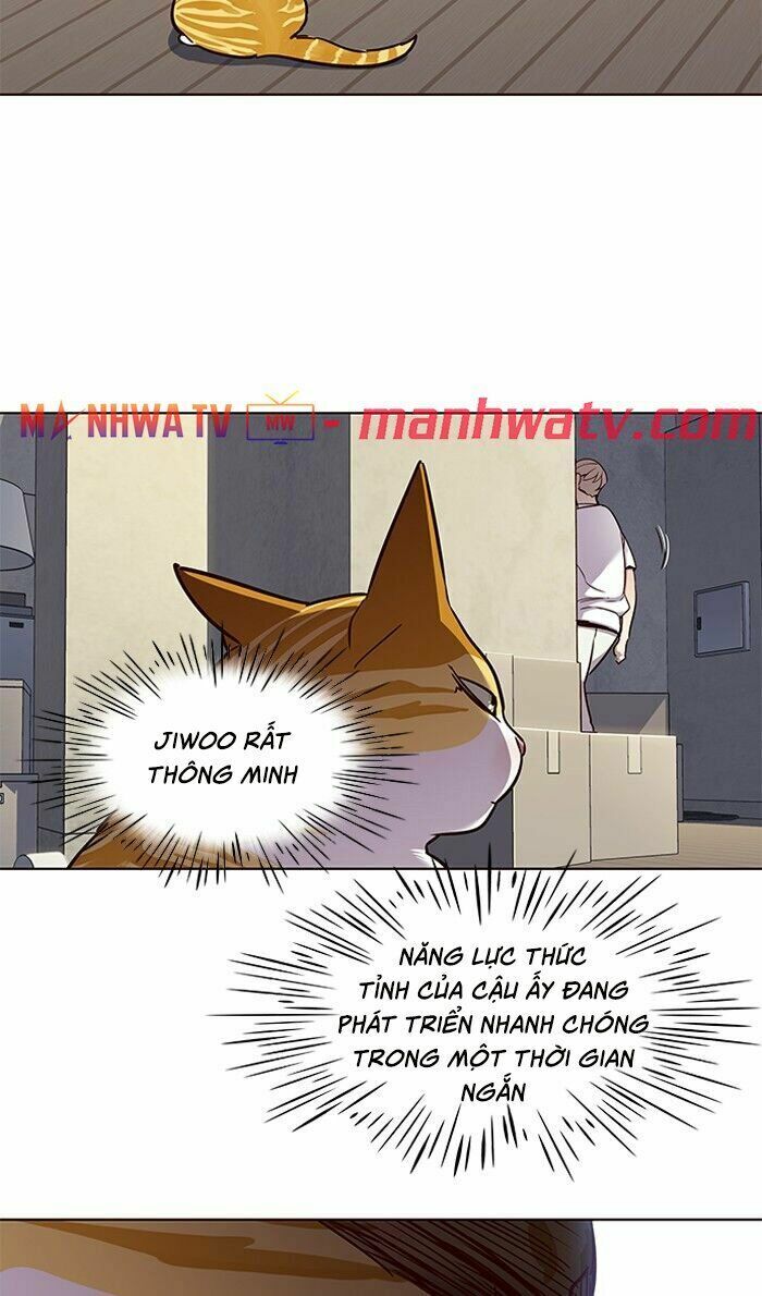 Hoá Thân Thành Mèo: Chapter 59