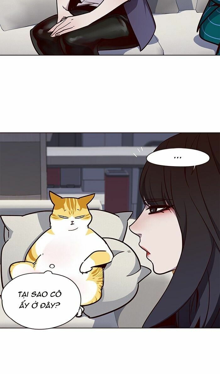 Hoá Thân Thành Mèo: Chapter 59