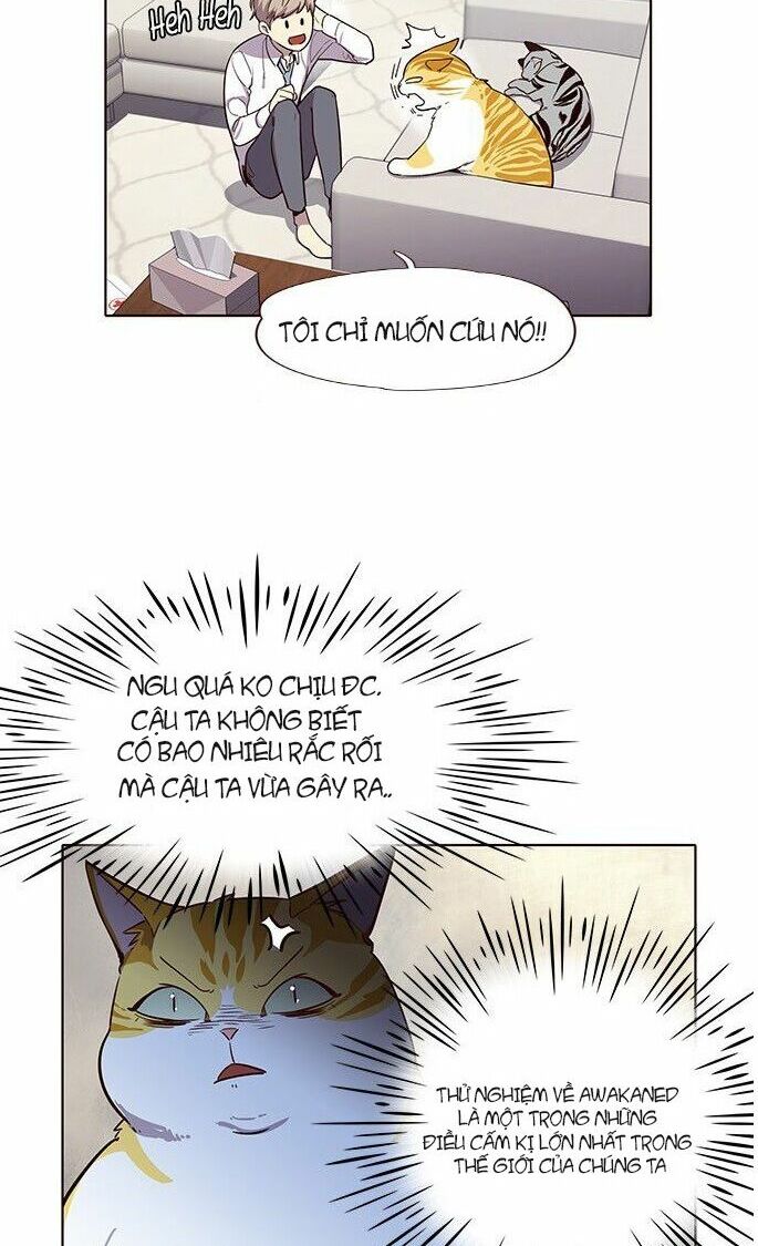 Hoá Thân Thành Mèo: Chapter 6