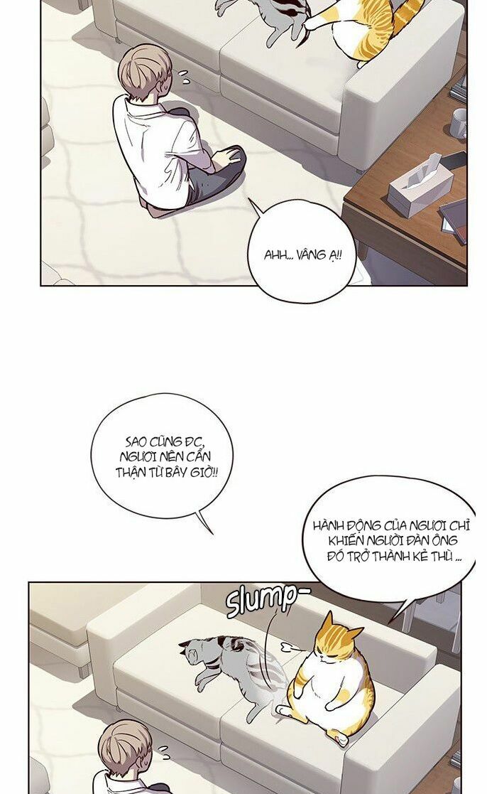 Hoá Thân Thành Mèo: Chapter 6
