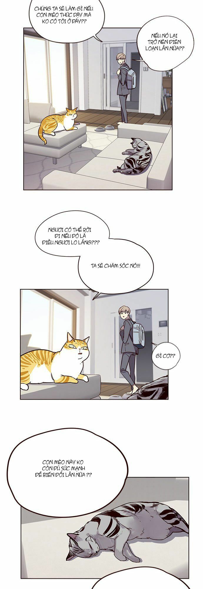 Hoá Thân Thành Mèo: Chapter 6