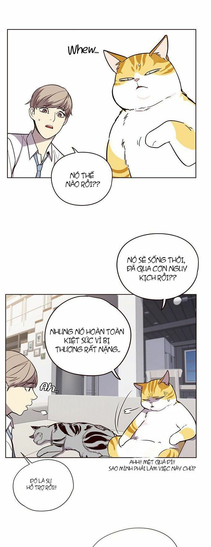 Hoá Thân Thành Mèo: Chapter 6