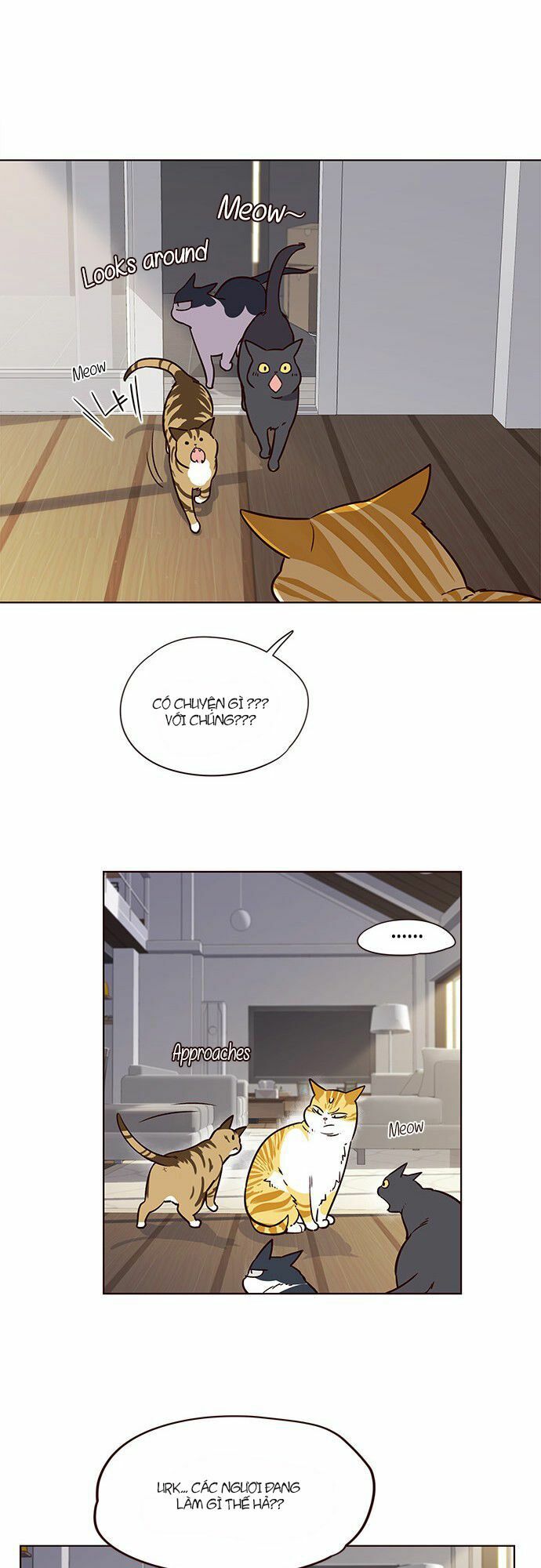 Hoá Thân Thành Mèo: Chapter 6