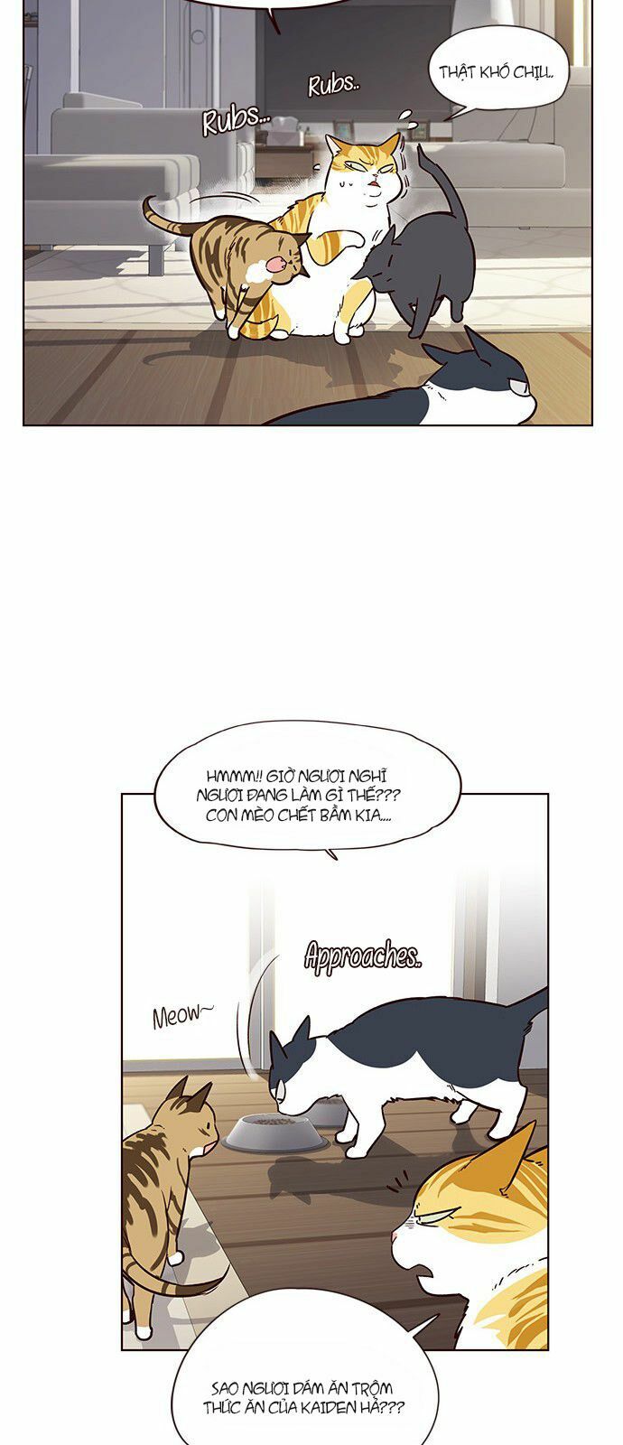 Hoá Thân Thành Mèo: Chapter 6