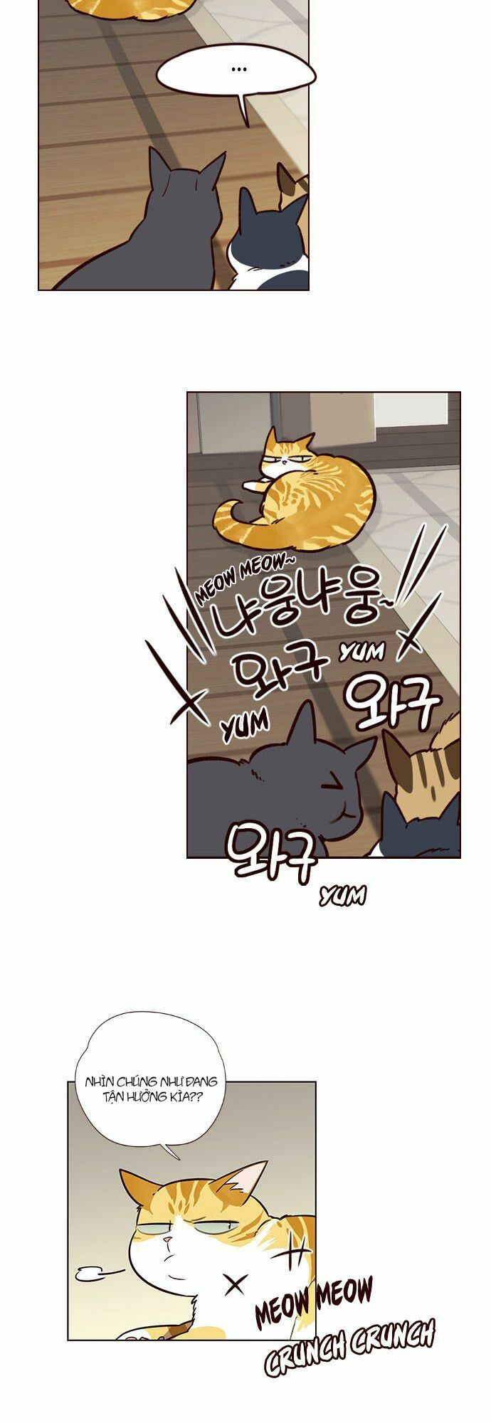 Hoá Thân Thành Mèo: Chapter 6