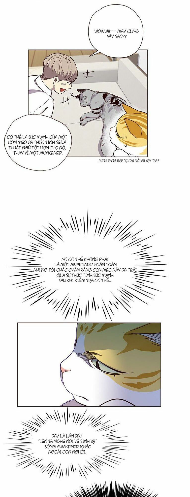 Hoá Thân Thành Mèo: Chapter 6