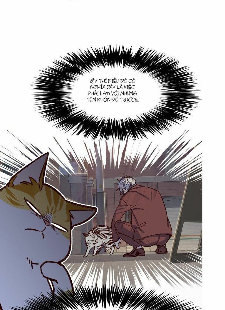 Hoá Thân Thành Mèo: Chapter 6