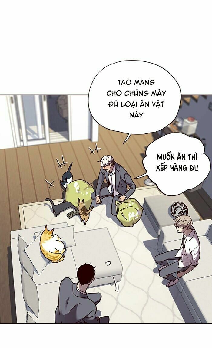 Hoá Thân Thành Mèo: Chapter 60