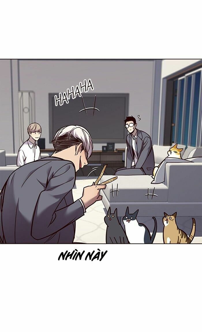 Hoá Thân Thành Mèo: Chapter 60