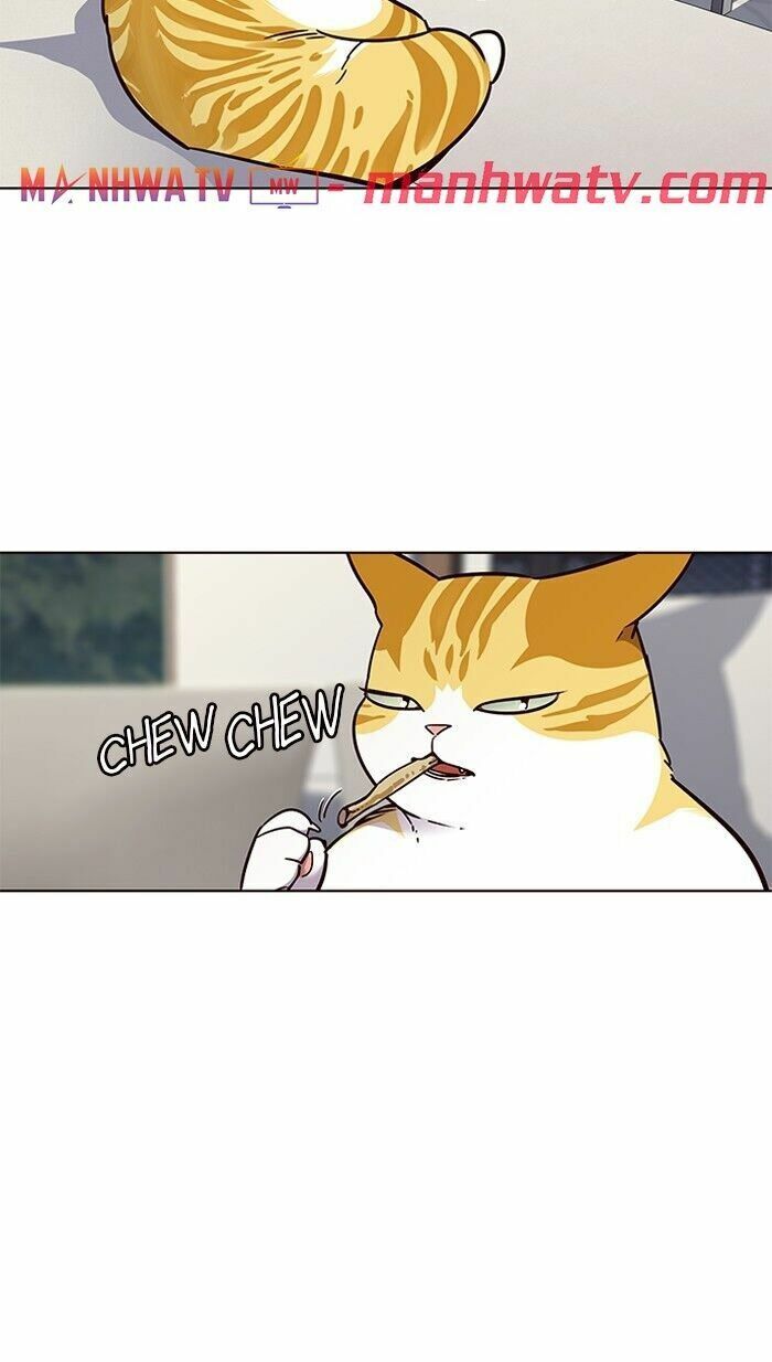 Hoá Thân Thành Mèo: Chapter 60