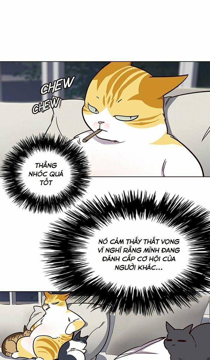 Hoá Thân Thành Mèo: Chapter 61