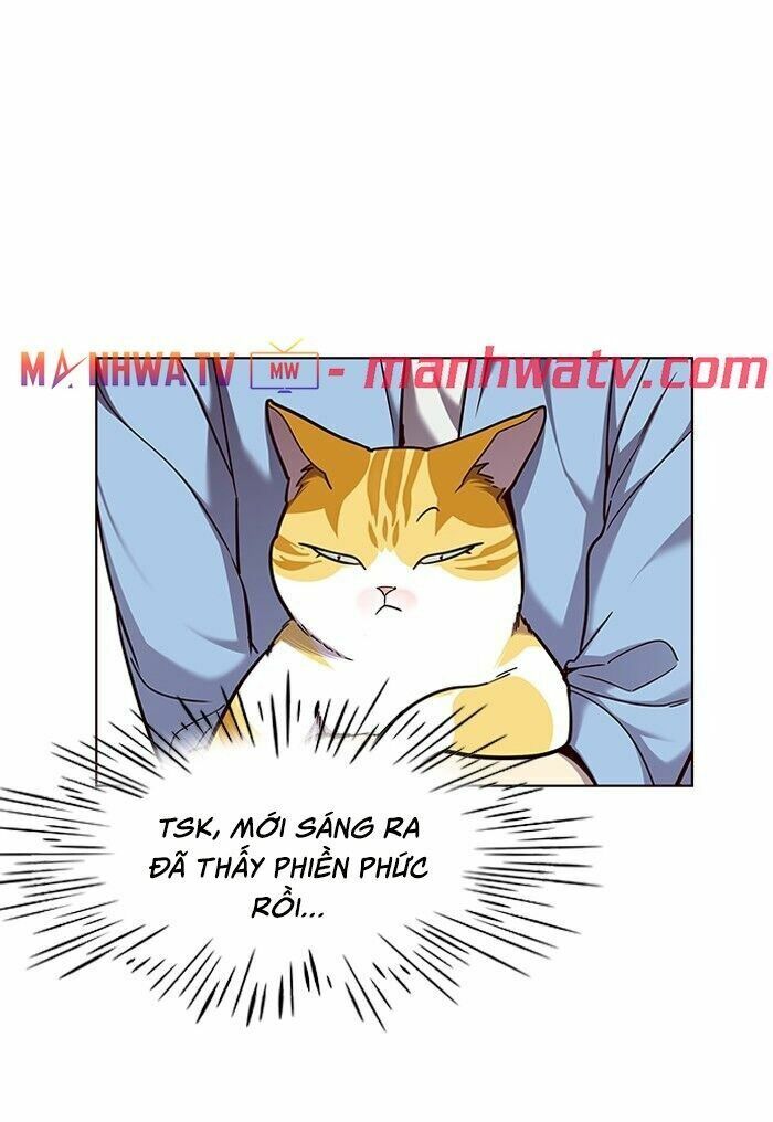 Hoá Thân Thành Mèo: Chapter 62