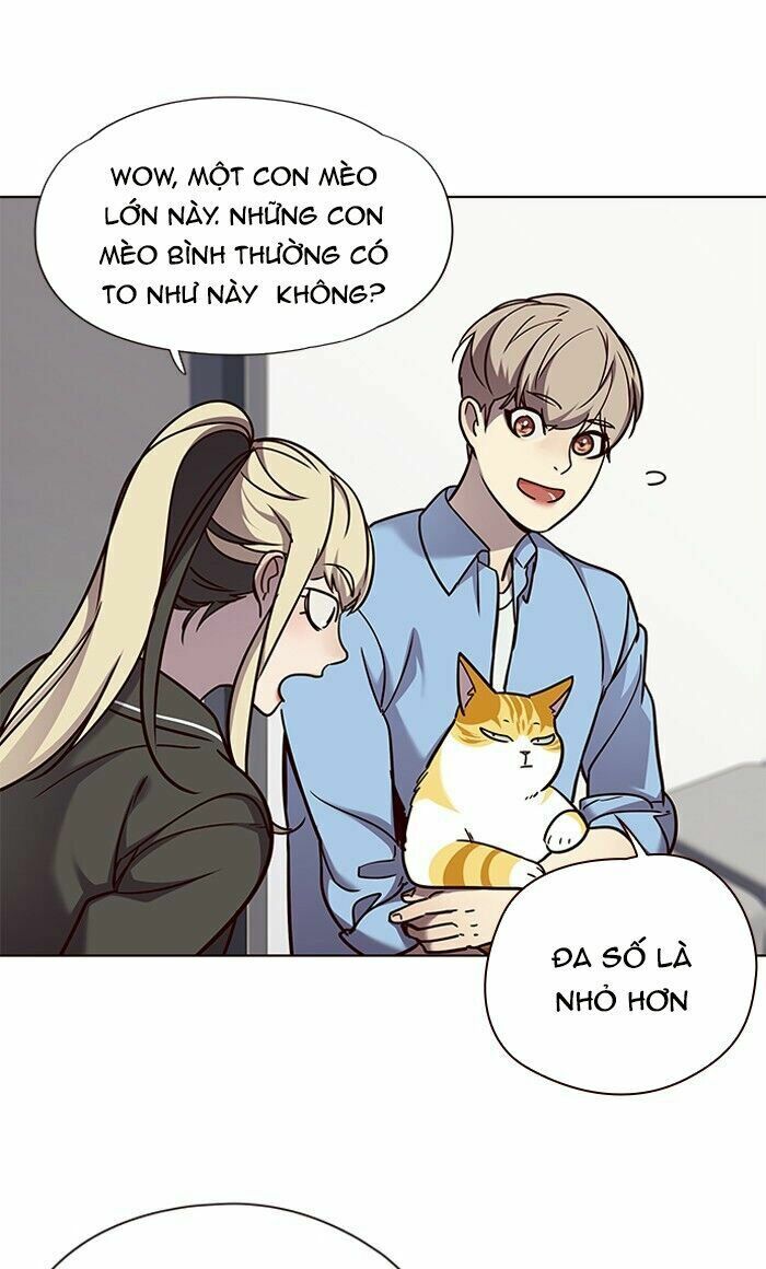 Hoá Thân Thành Mèo: Chapter 62
