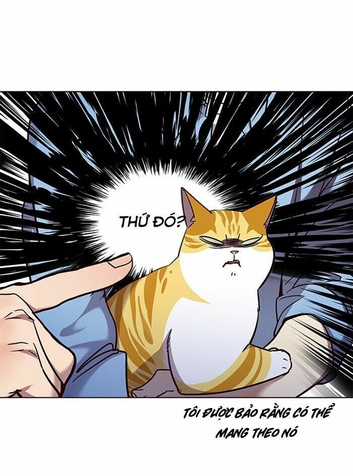 Hoá Thân Thành Mèo: Chapter 62