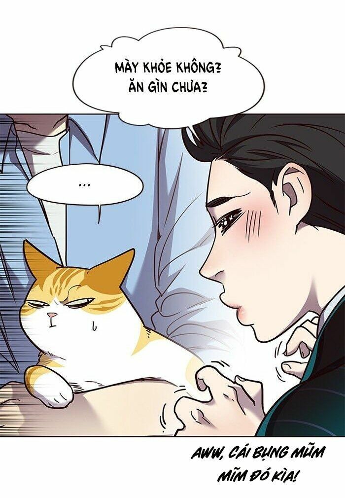 Hoá Thân Thành Mèo: Chapter 62