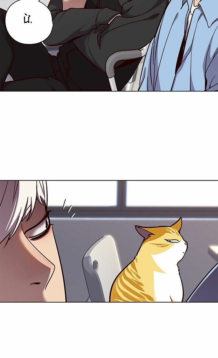 Hoá Thân Thành Mèo: Chapter 62