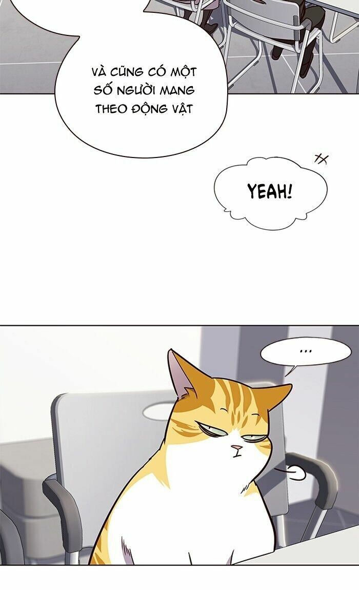 Hoá Thân Thành Mèo: Chapter 62