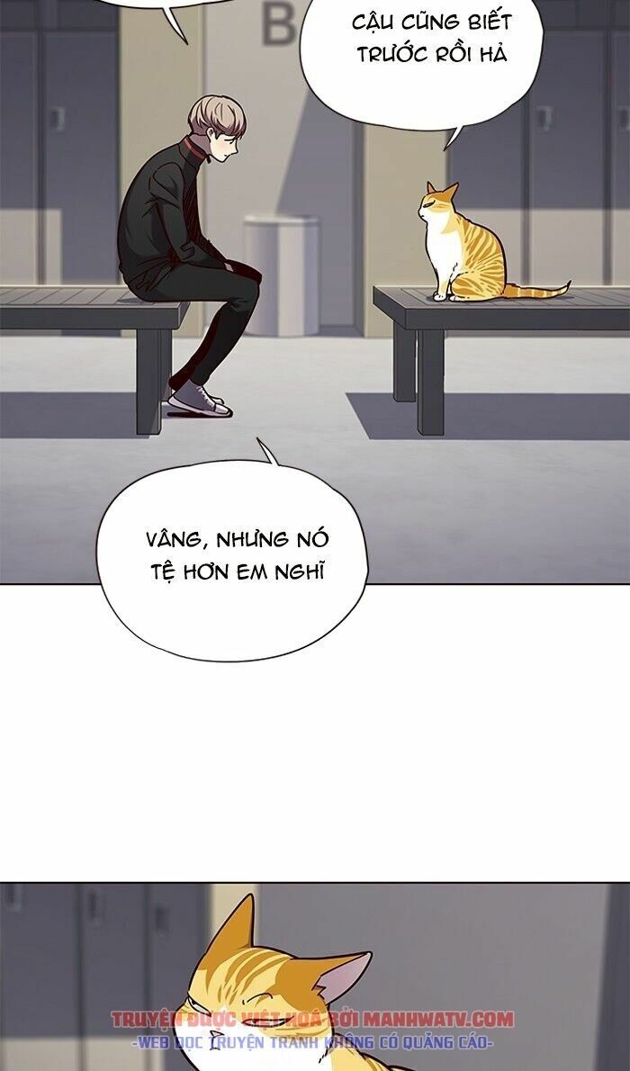 Hoá Thân Thành Mèo: Chapter 63