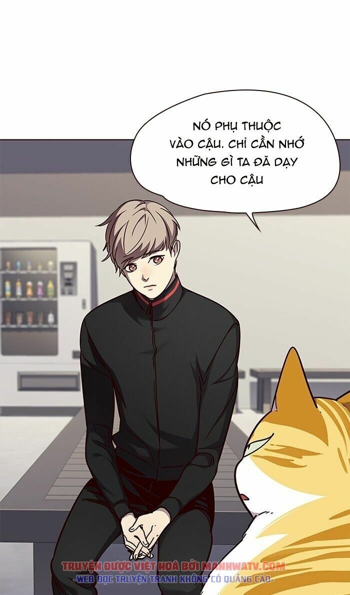 Hoá Thân Thành Mèo: Chapter 63