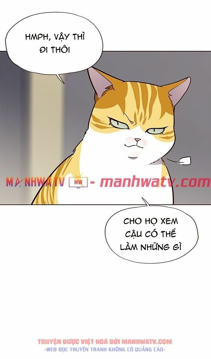 Hoá Thân Thành Mèo: Chapter 63