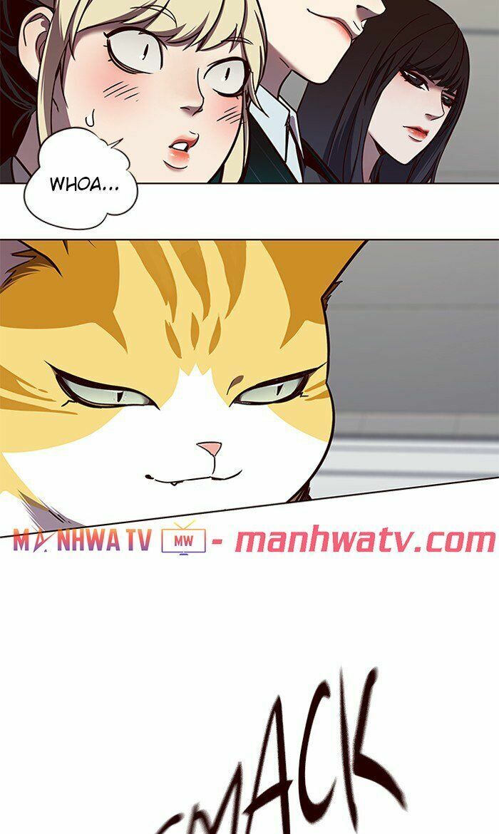 Hoá Thân Thành Mèo: Chapter 64